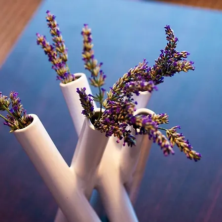 Apartman Sunny & Spacious, 2 Bedroom With Free Parking *