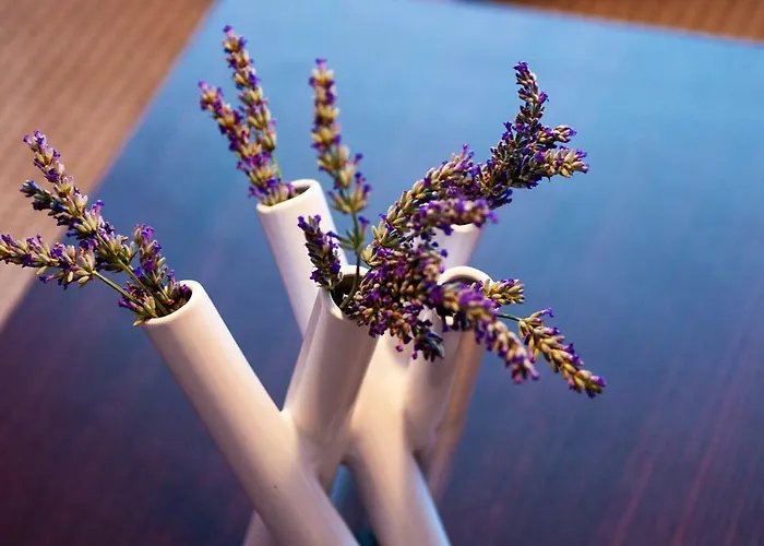 Apartment Sunny & Spacious, 2 Bedroom Apartment With Free Parking *